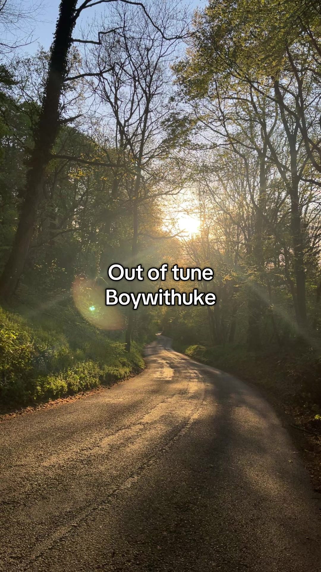 @Boywithuke supporter