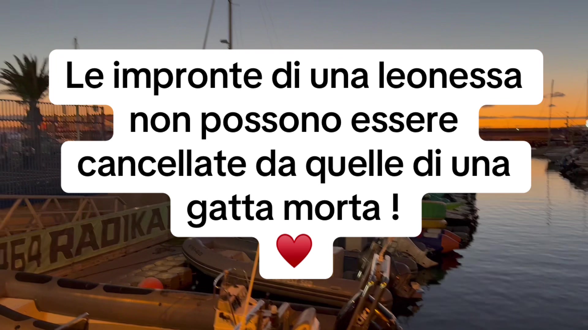 @Baby J.J ♥️