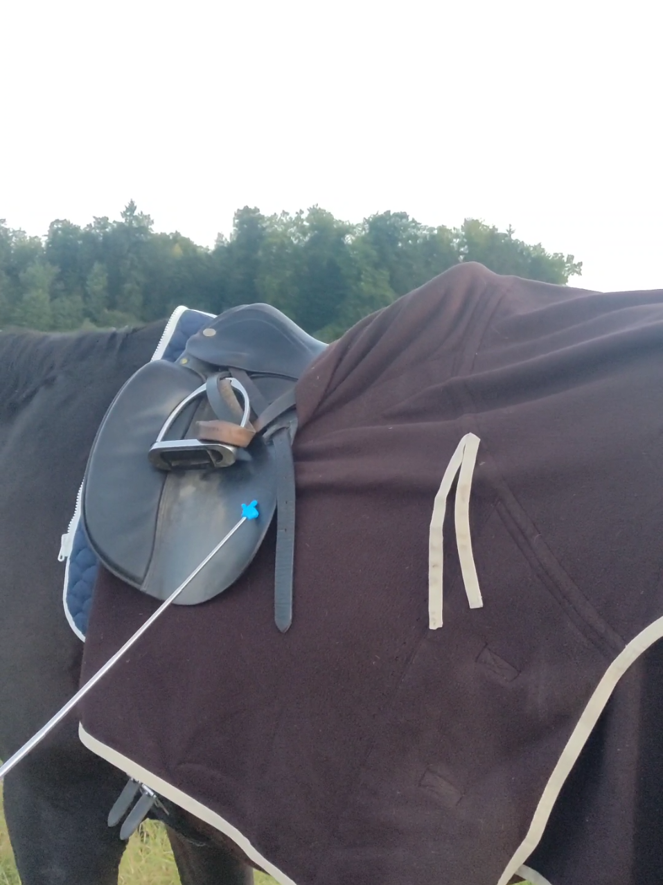 @Die Reitdecke