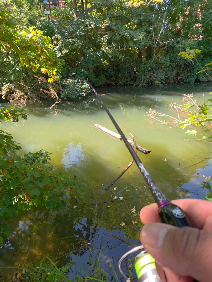 @BF Angler