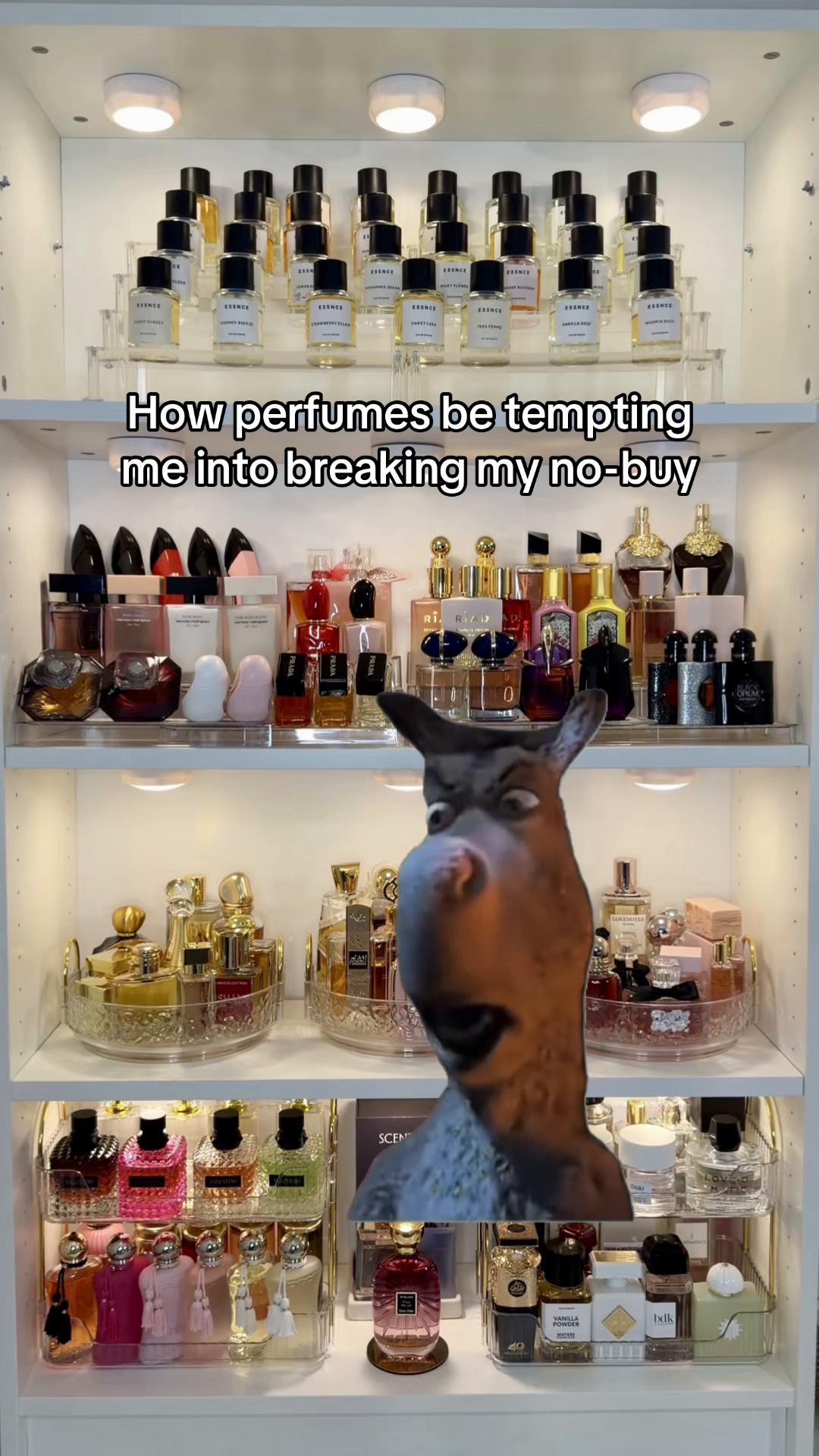 @Lolo ♡ | Perfume Diary