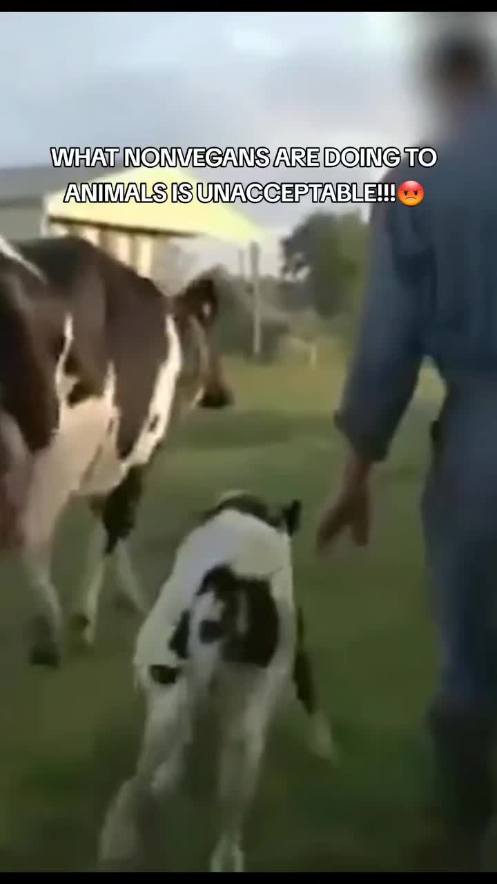 @veganssave