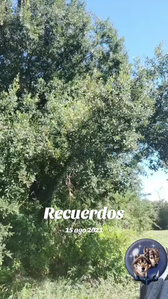 @🥰Oscarnperez🫂🫂🌞❤️❤️
