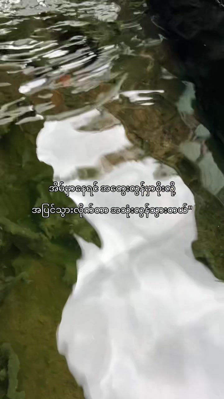 @๐๐ข๐ซ๐ (แแฎแแฌ)๐ฅ