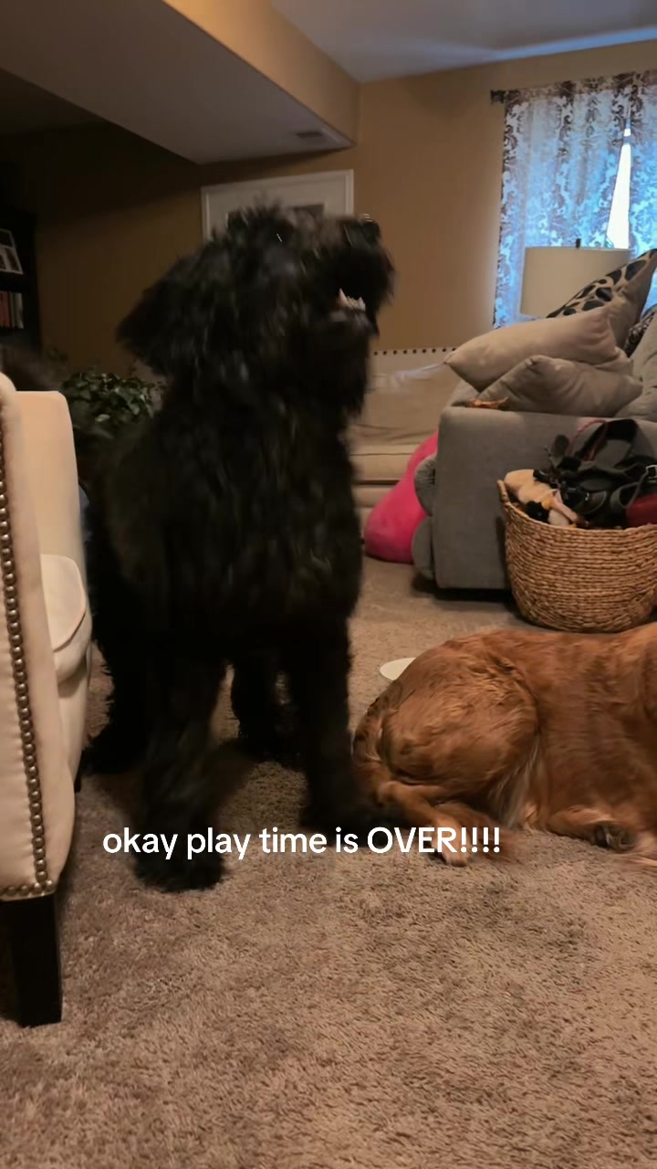 @LennyAndMaple