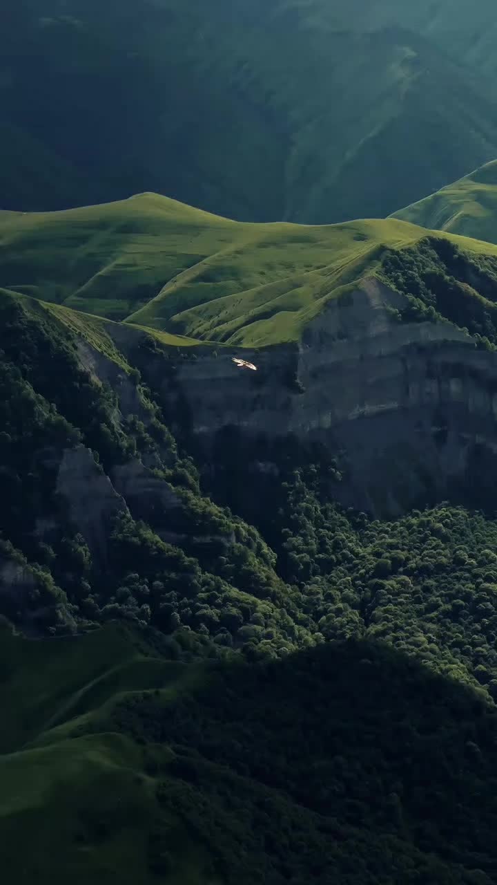 @ᴀʟ-Qᴜʀᴀɴ