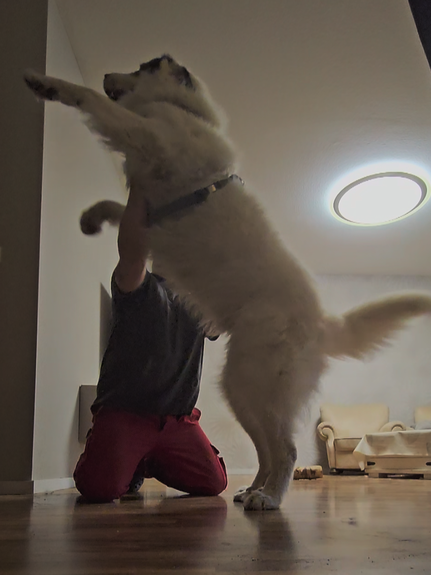@Cooper😍and😍 I 🐕🏃♂️🫶🏻