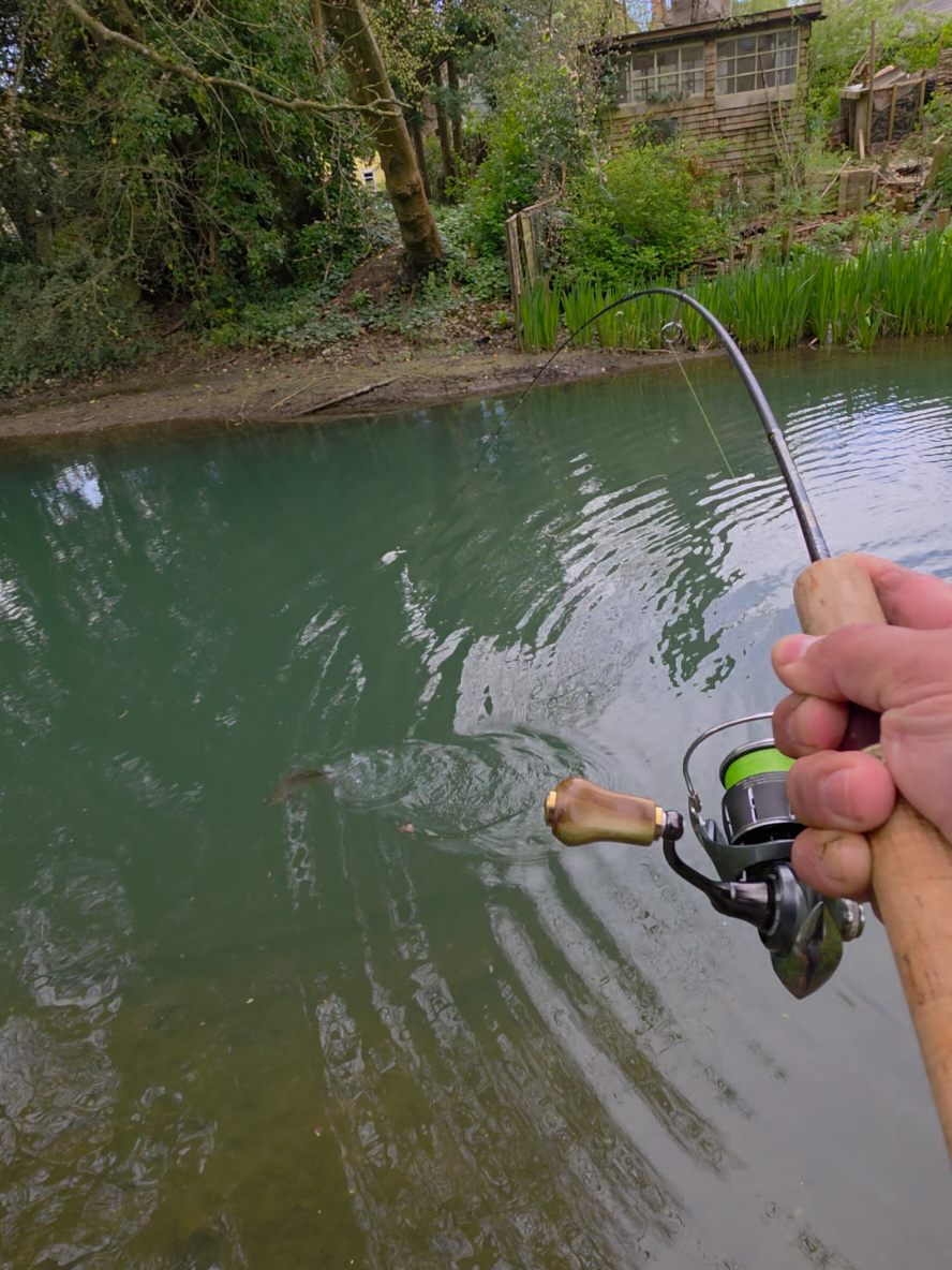 @BF Angler