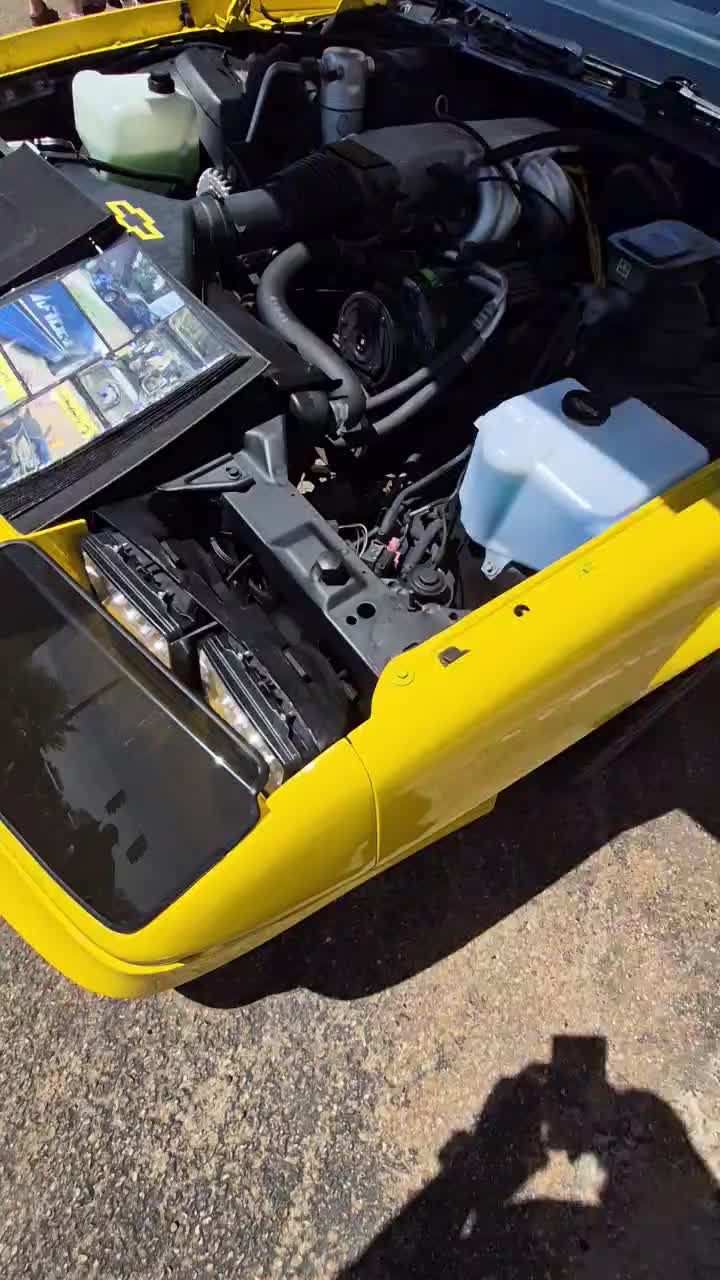@🦊GTfoxbody5.0🍑🌛