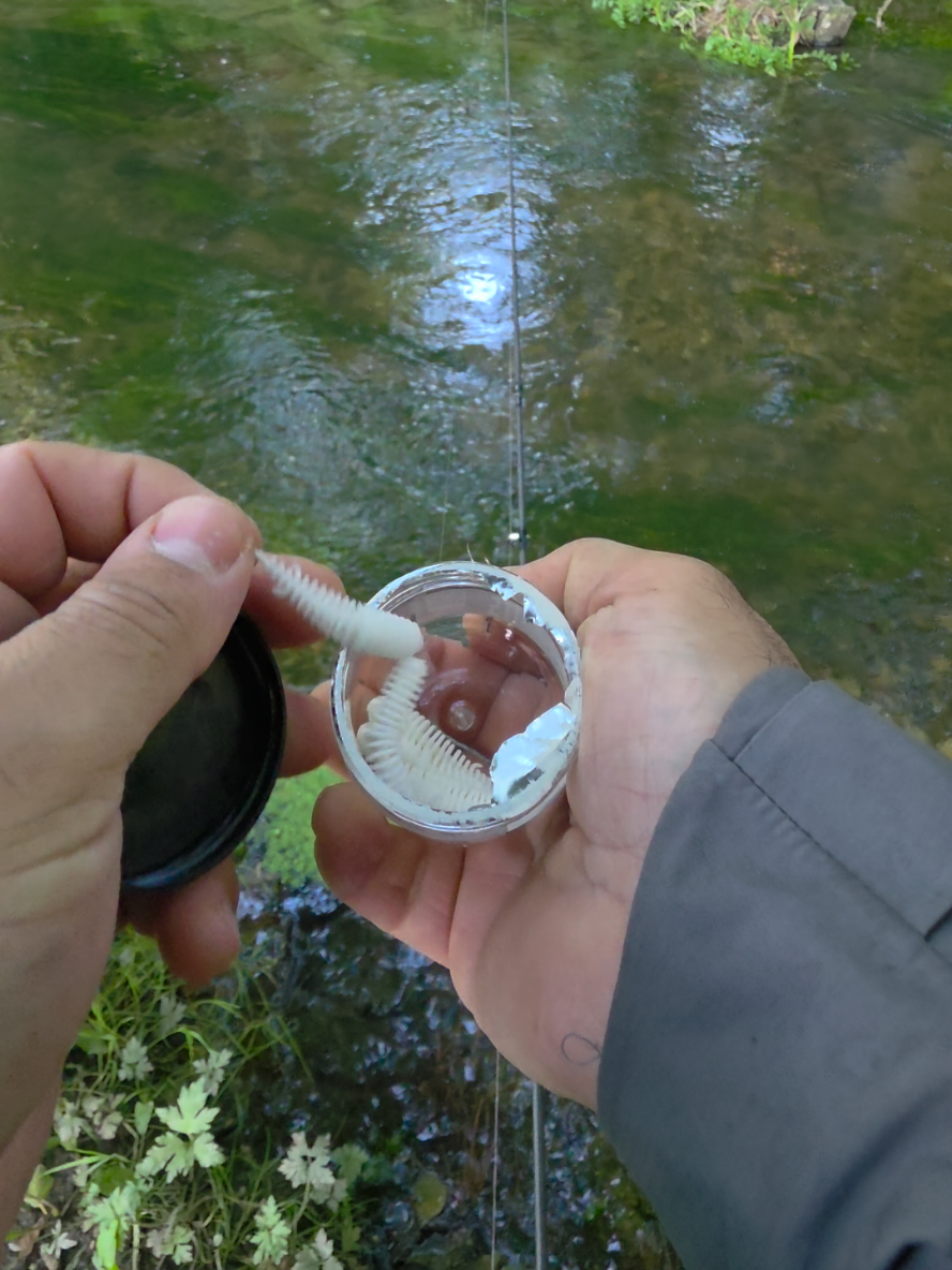@BF Angler