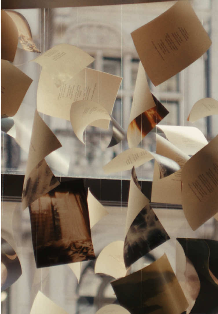 @Aesop