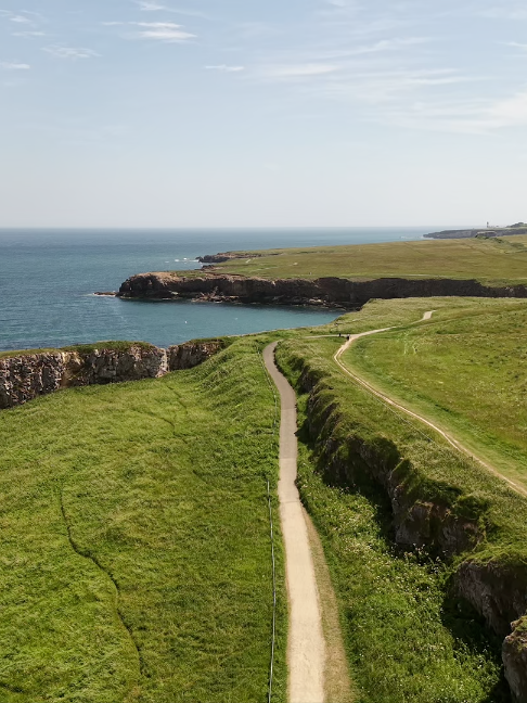 @tynetotarn