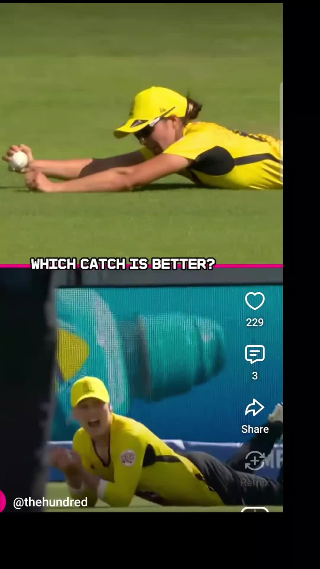 @joyofcricketgame