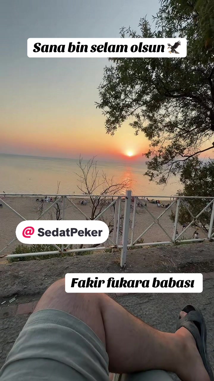 @Poyraz Yakut