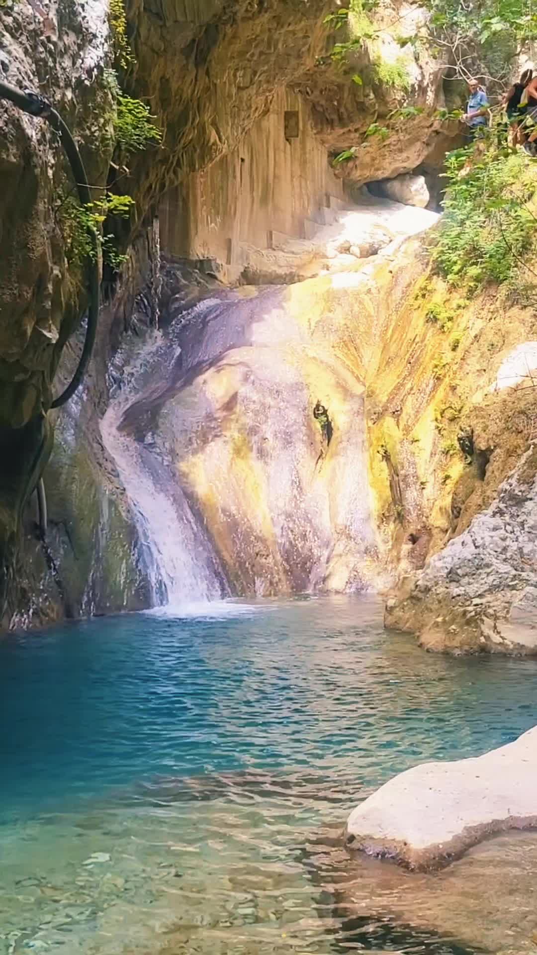@tanya.shone