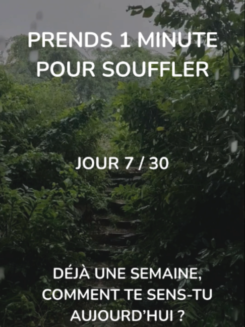 @🤍 RESPIRE 🤍