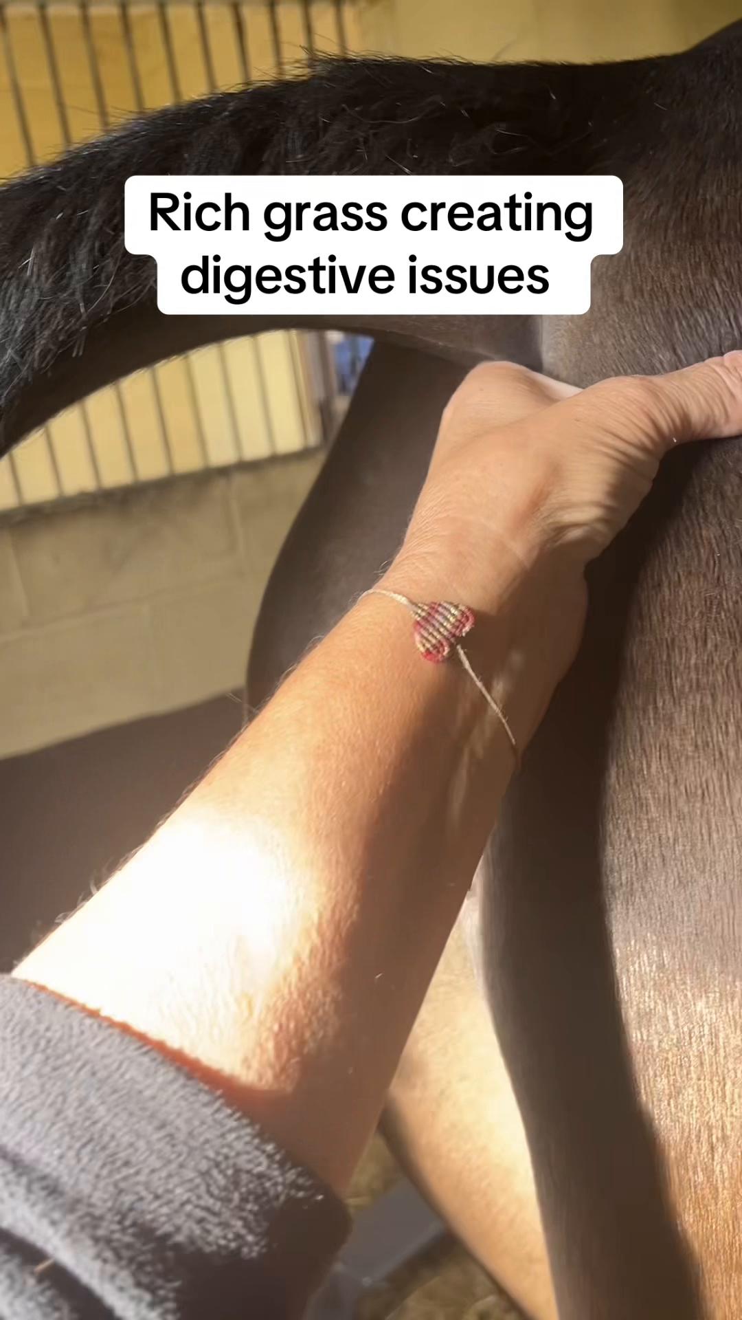 @Equine Release