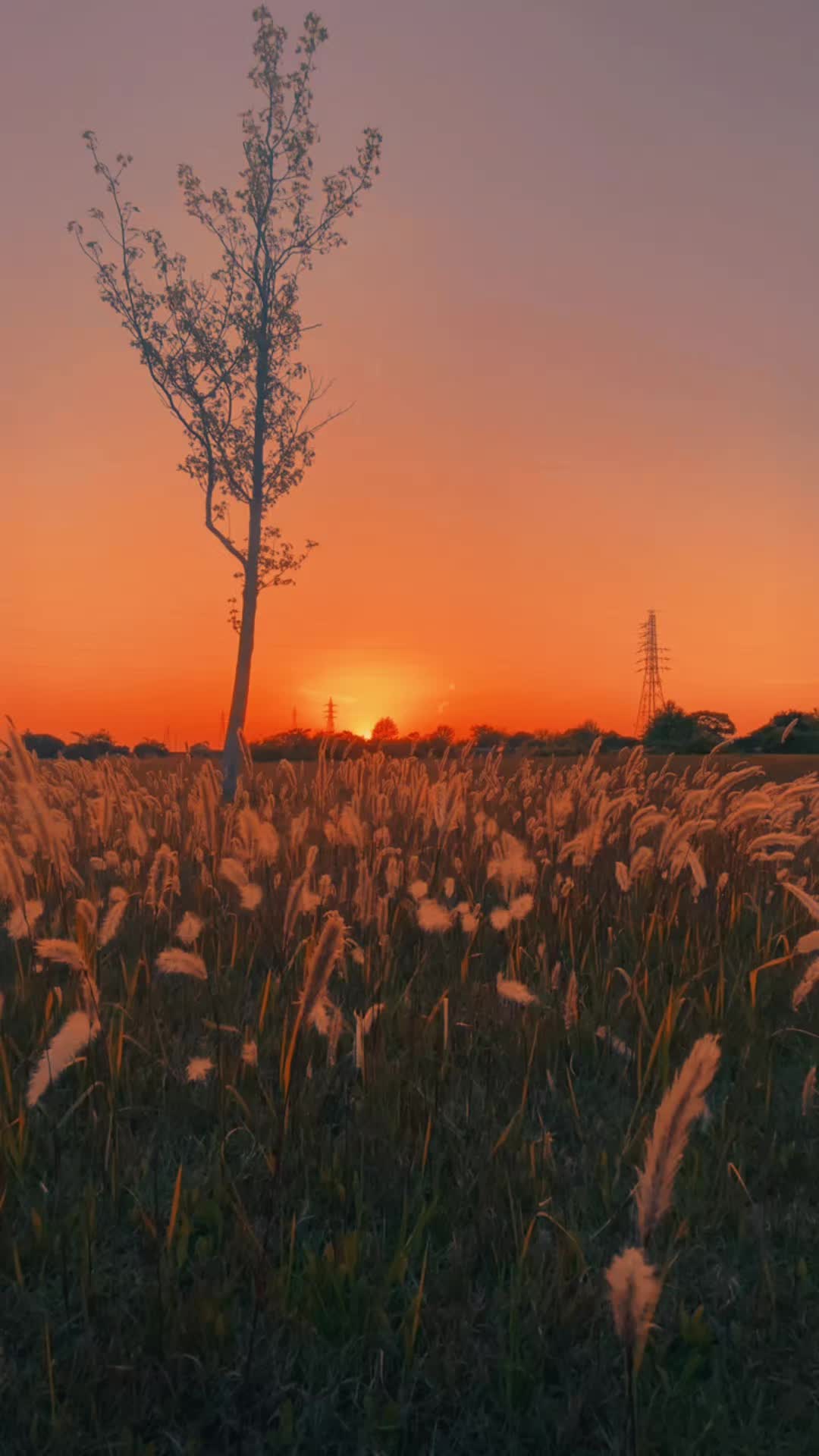 @Nature Scope