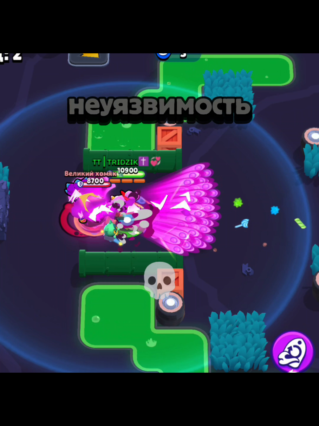 @ТРИДЖИК