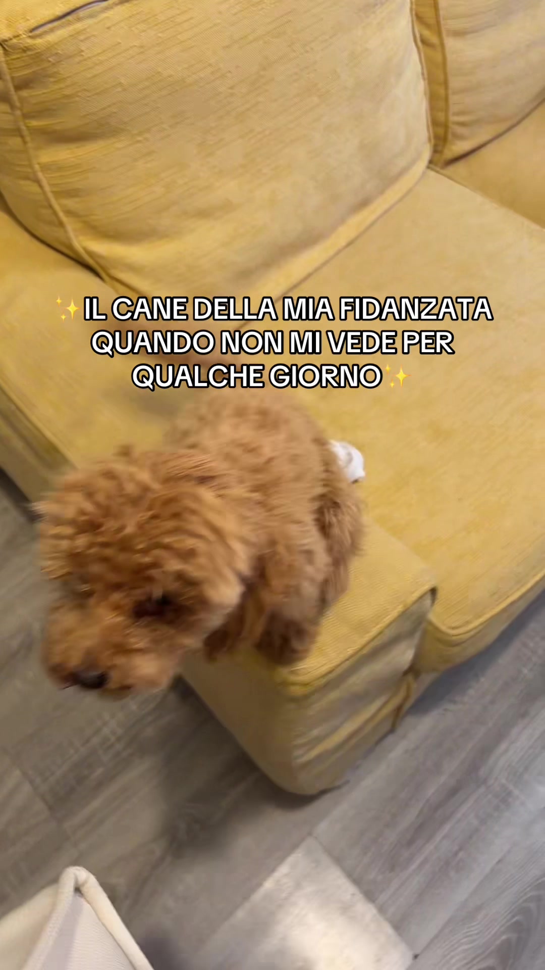 @Mary Di Giulio Cesare