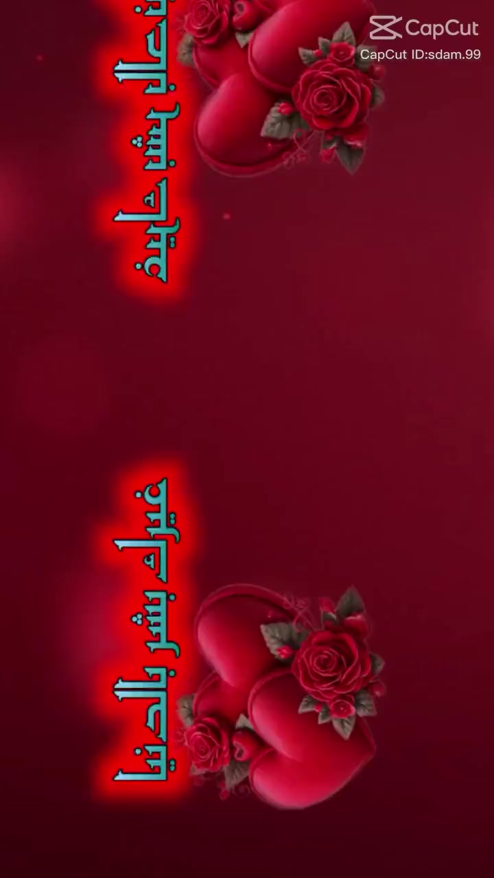 @alestora_reem_
