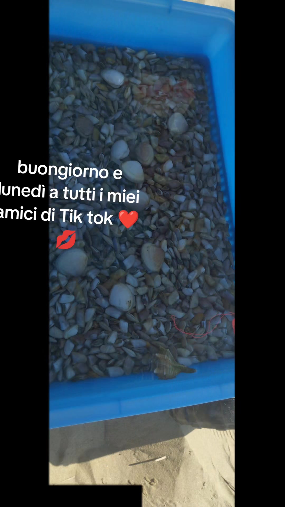 @❤️PEPPE💋Sorrentino❤️