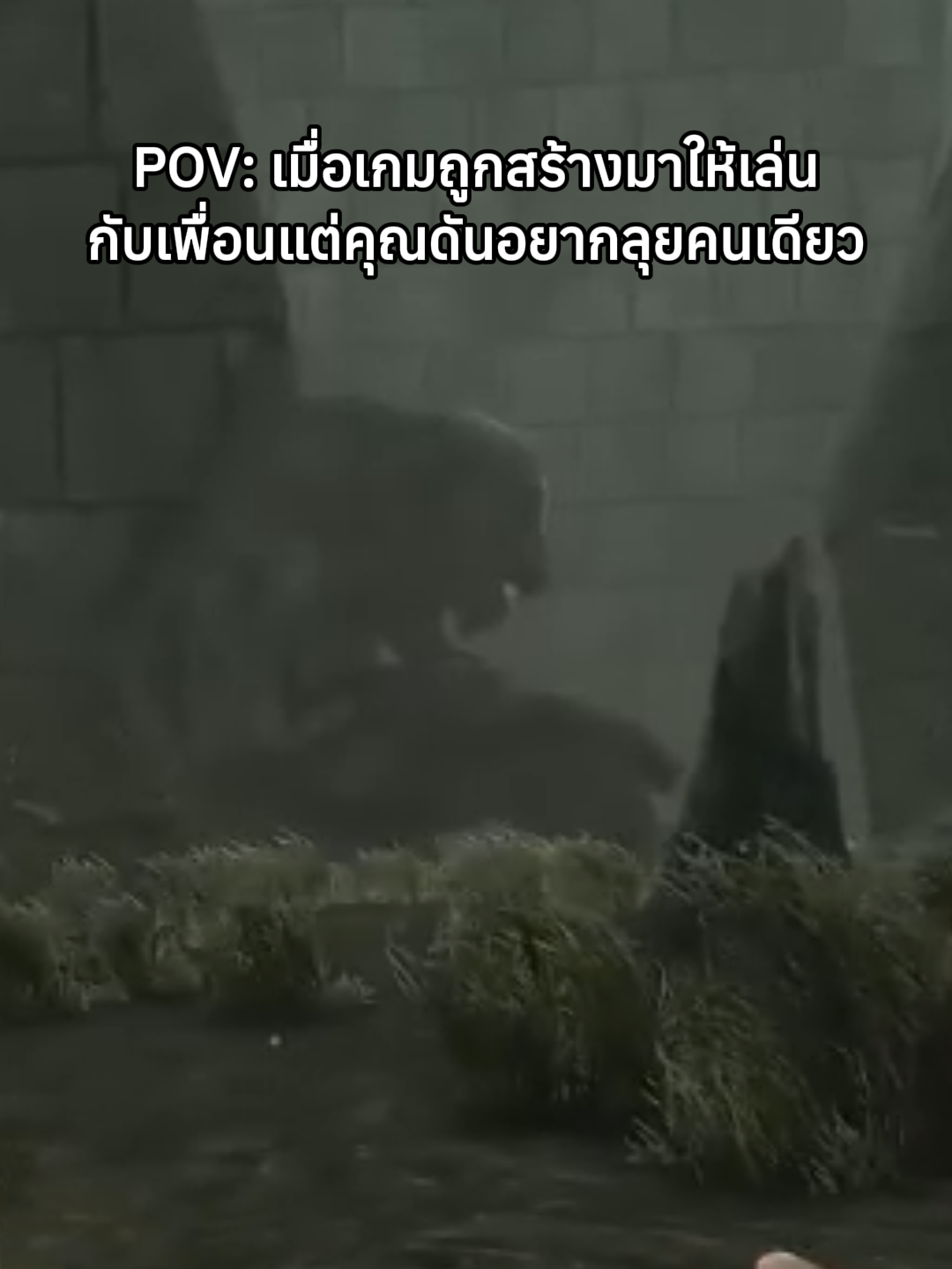 @sonjokey