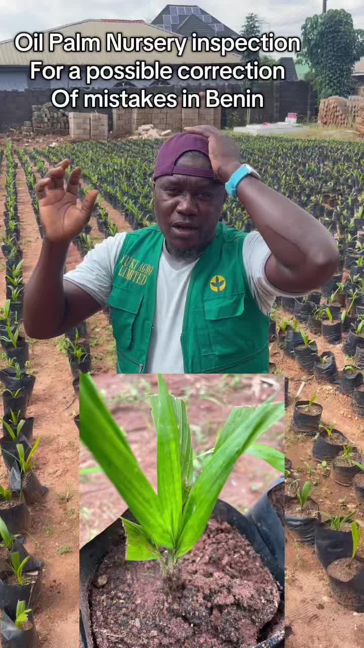 @BabaObaTv @Yuki Agro limited