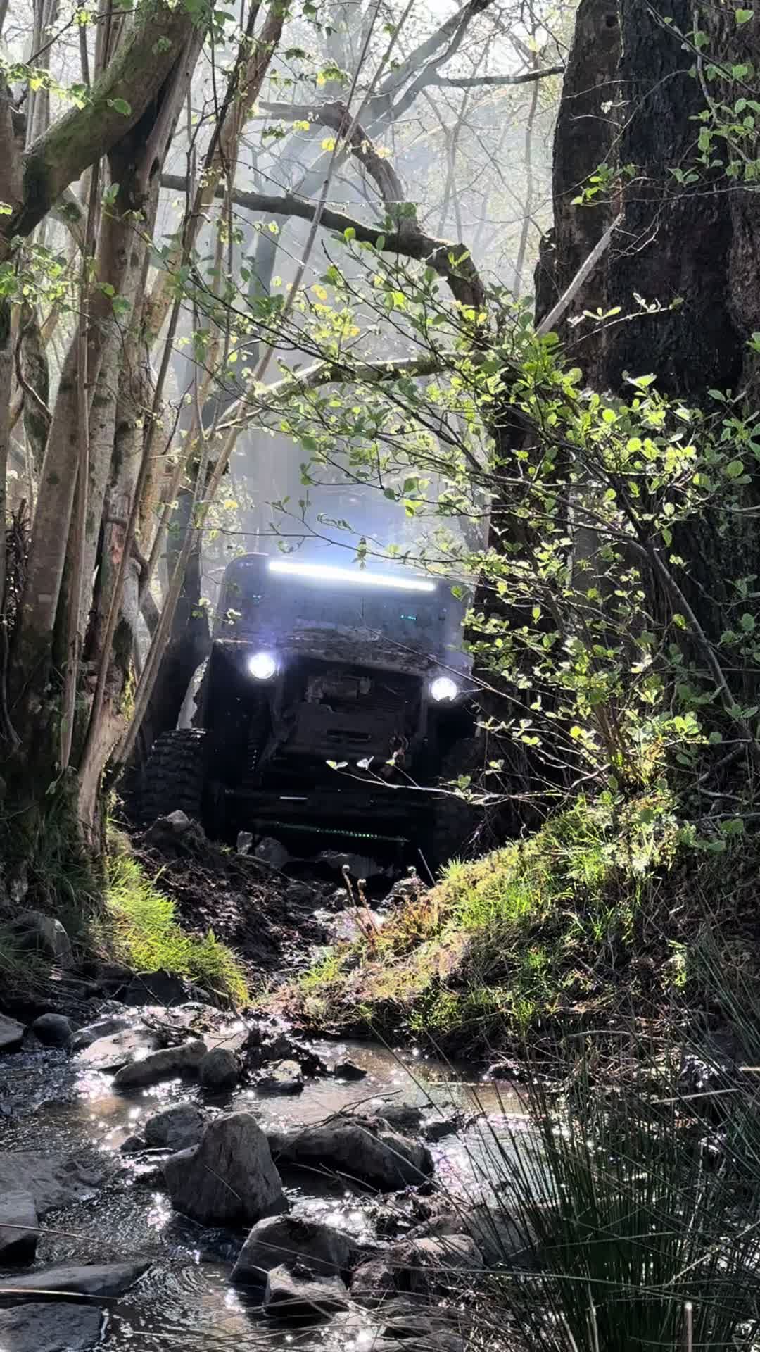 @Archie Read
