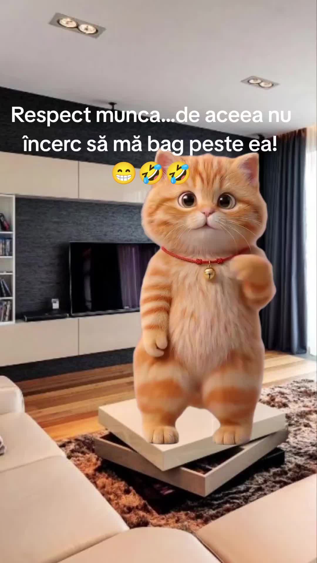 @Carmen Buhinschi