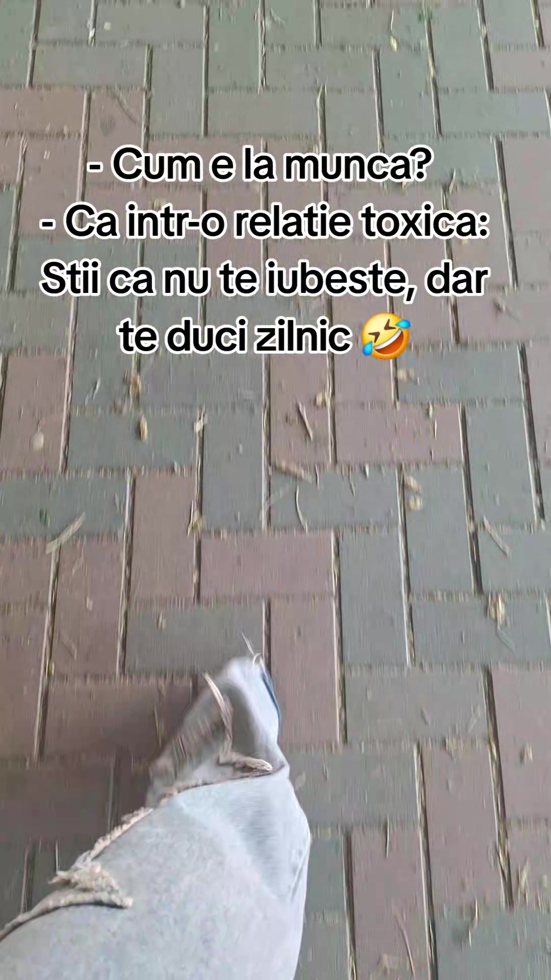 @Ruxandra Dutu