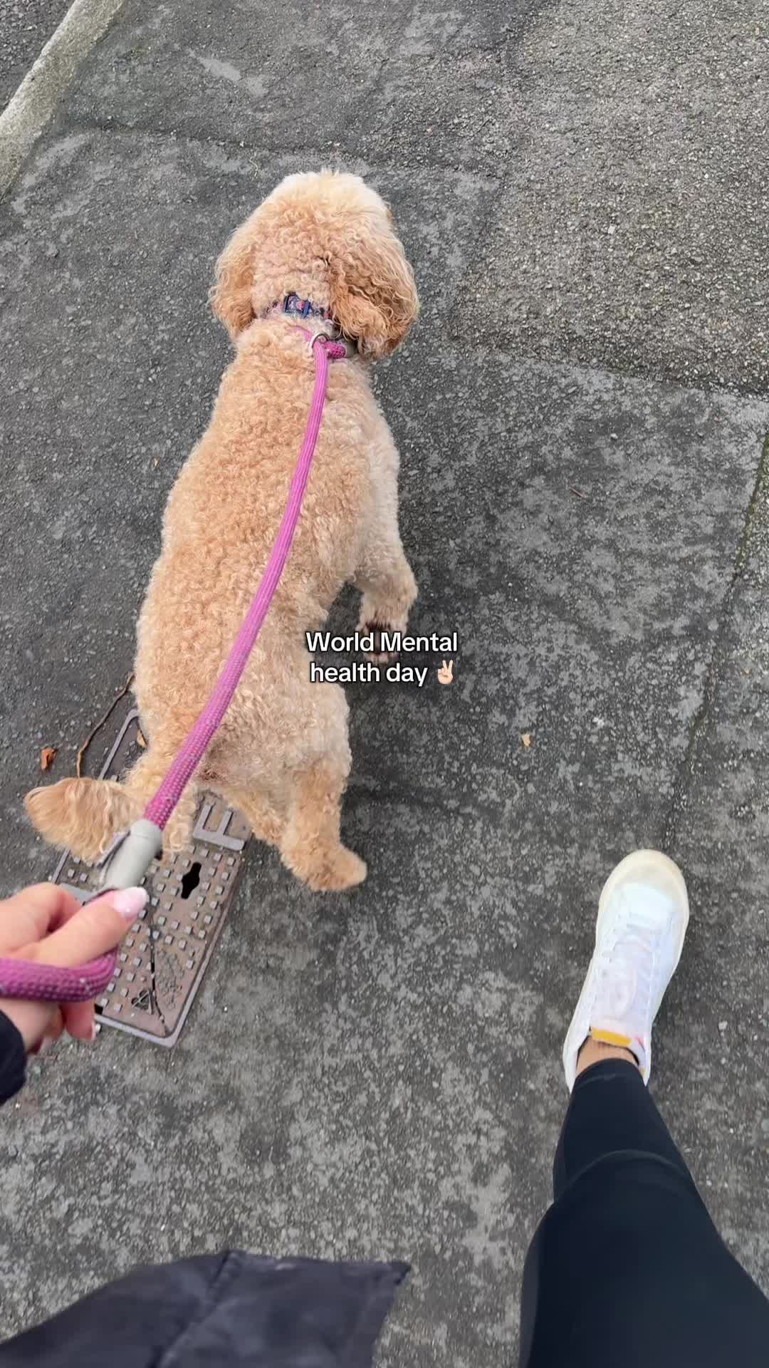 @F.I.T round my baby