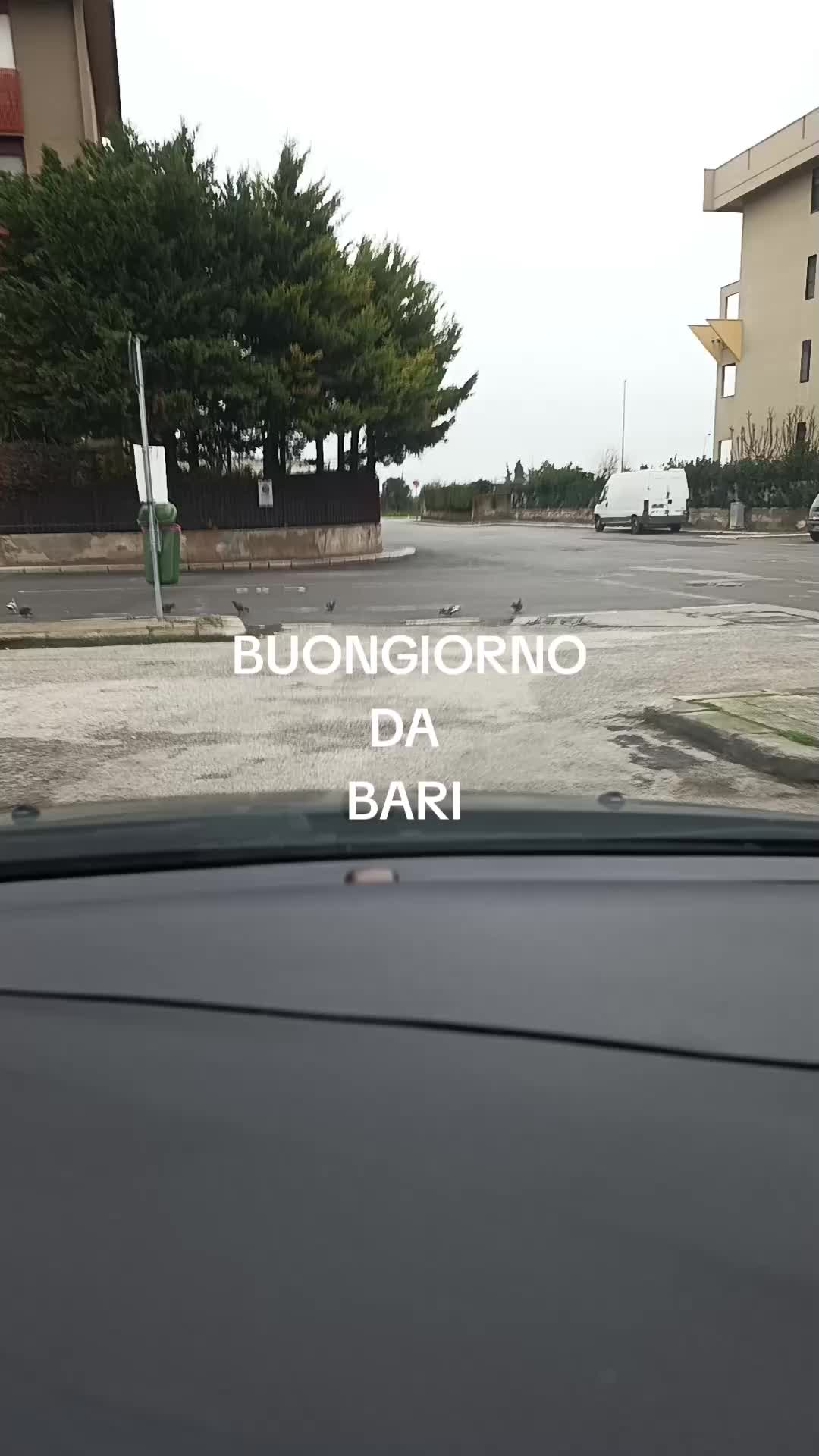 @💓SOLO FRANCO💓
