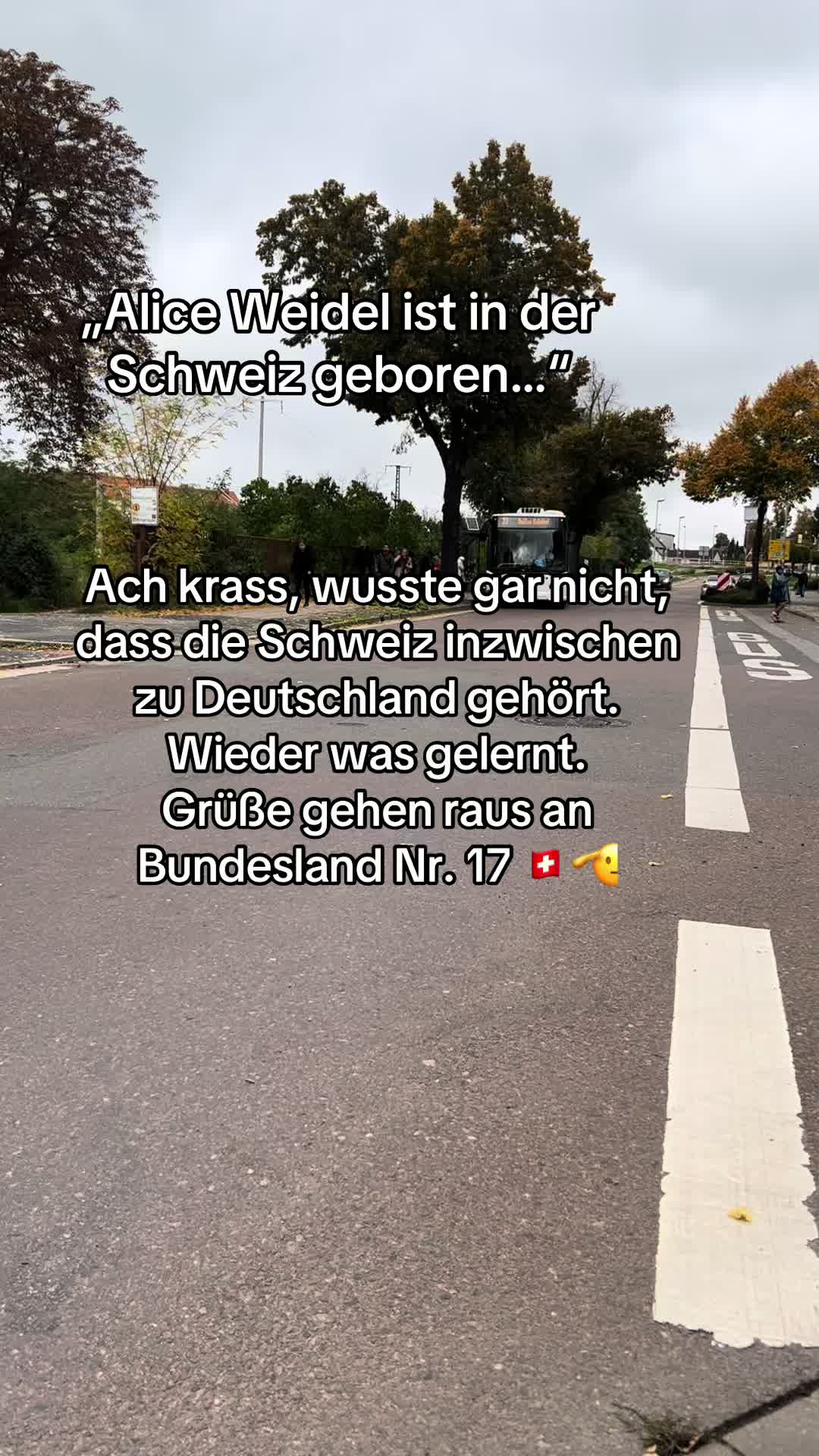 @Alice Weidel Fan💙