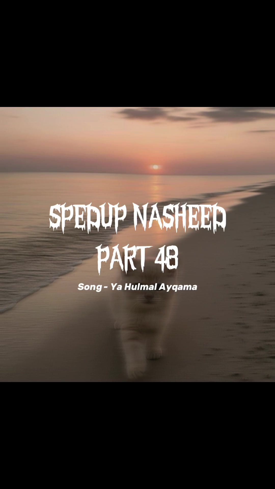 @Nasheed
