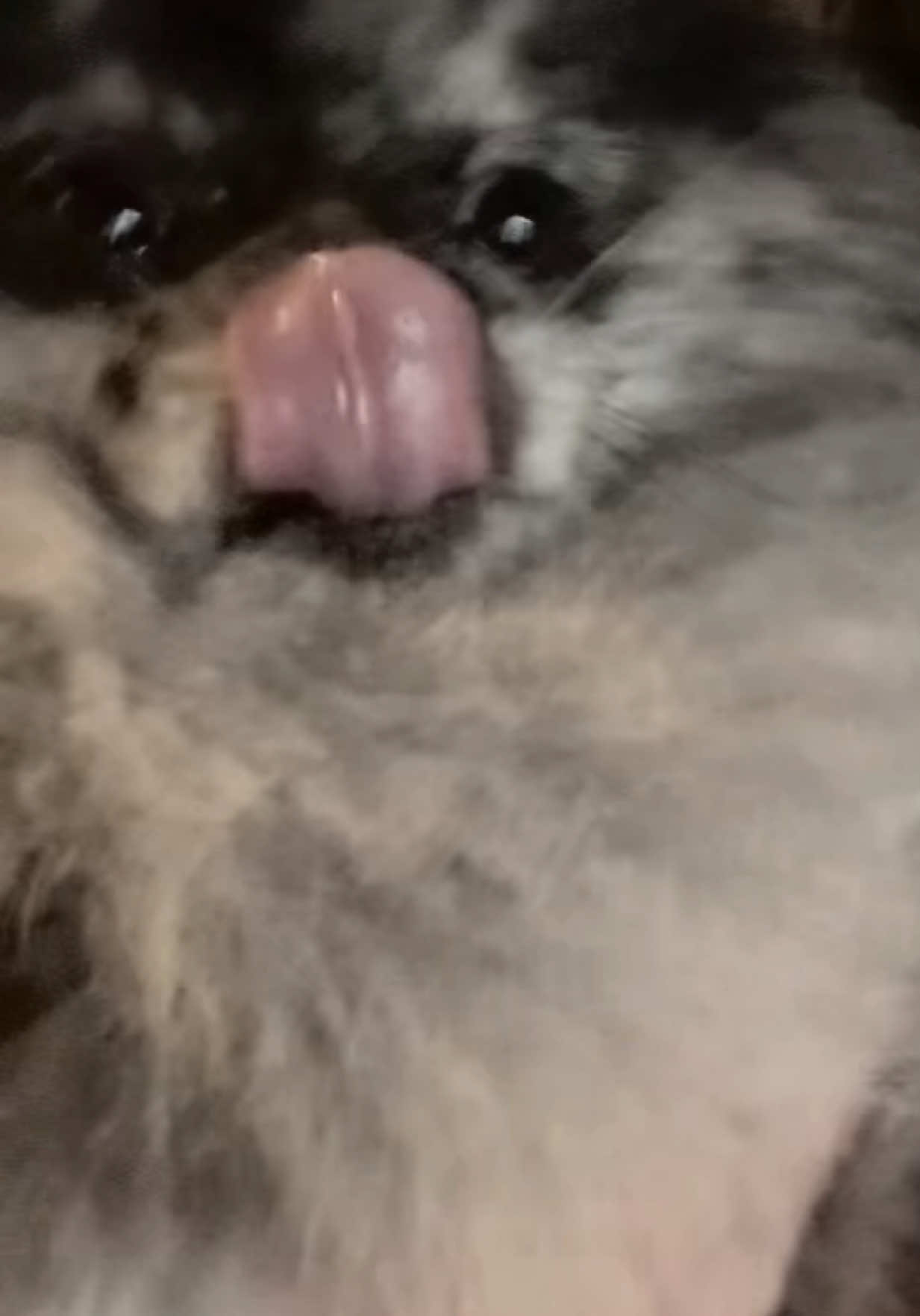 @zoee