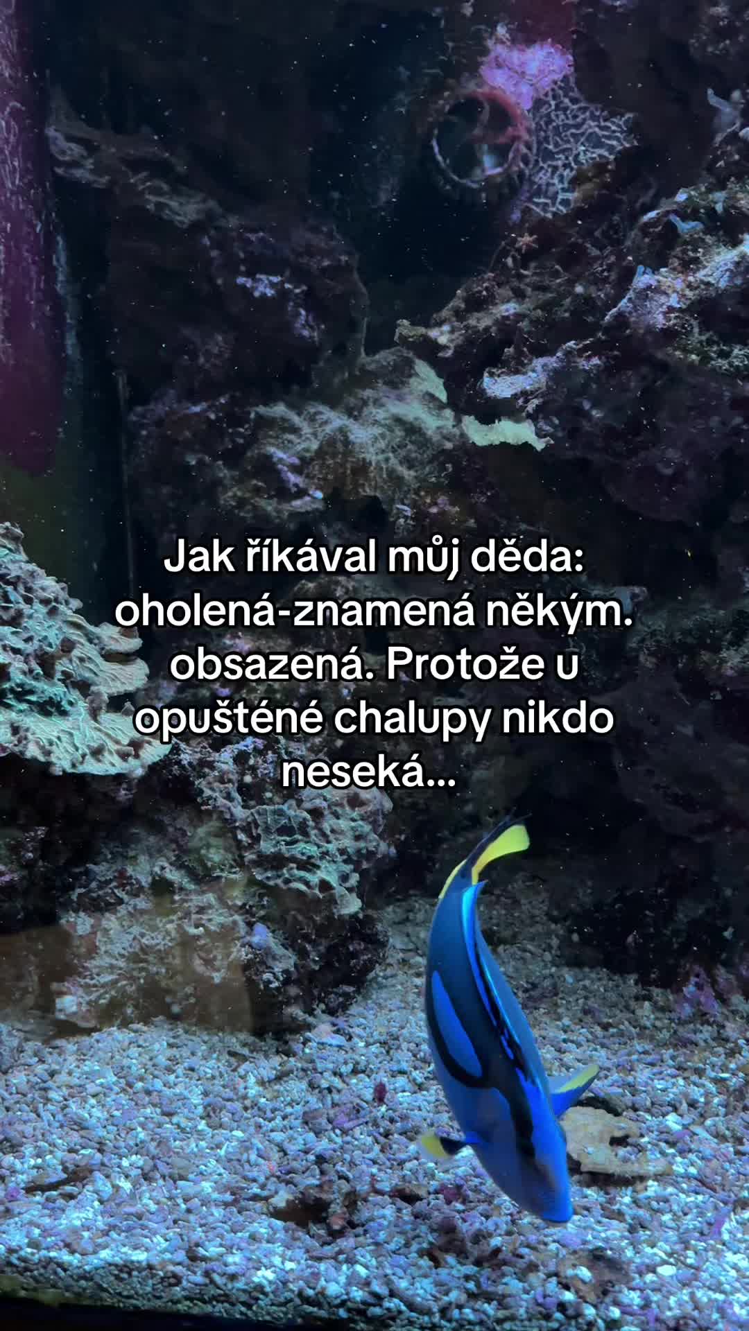@Luk&aacute;&scaron;ek 🫶