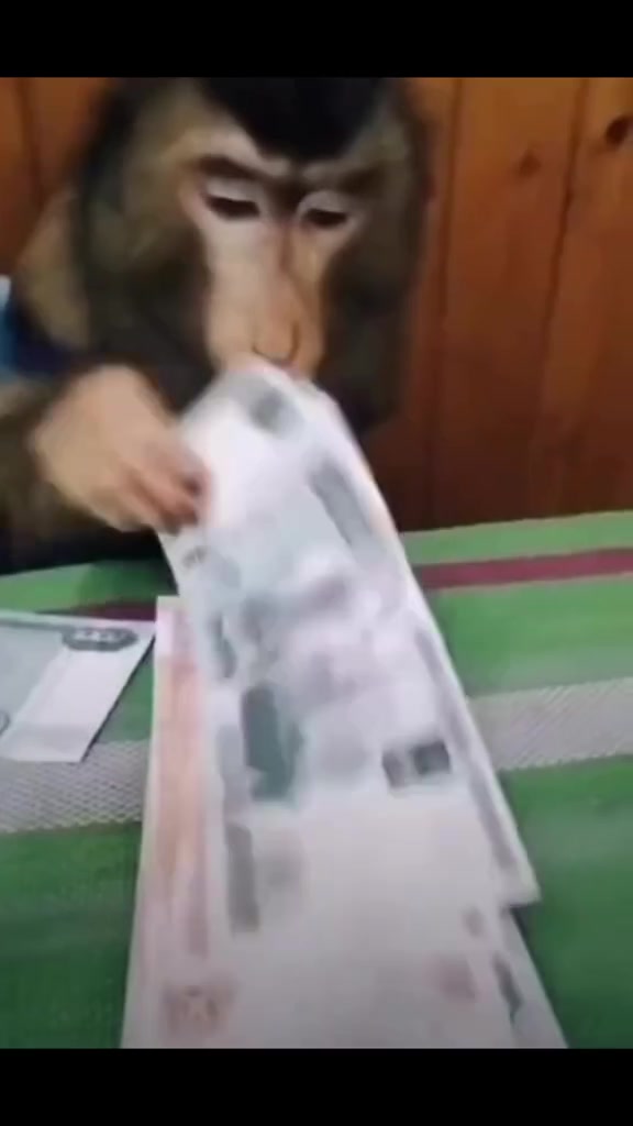 @Малецкова Люция