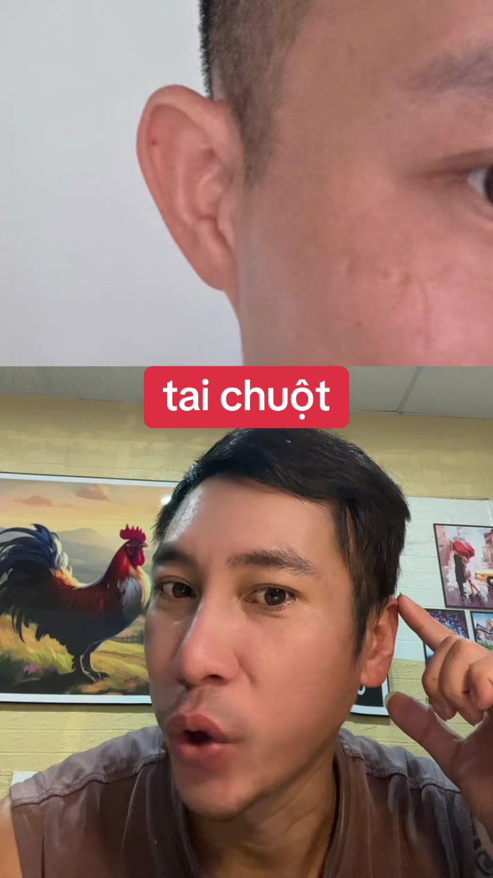 @Tuệ Nh&atilde;n ✅