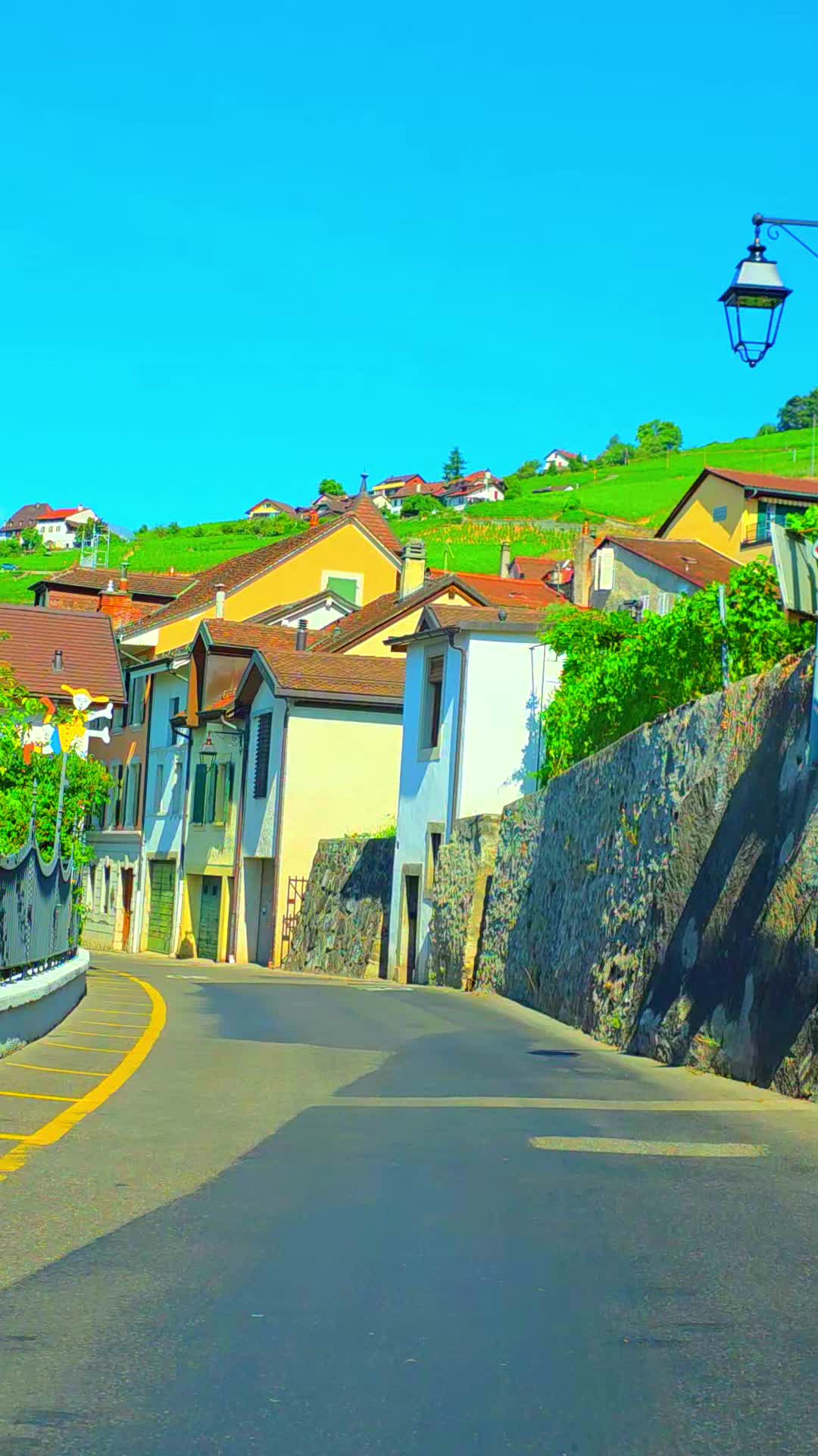 @🇨🇭flores Sérgio 🇵🇹