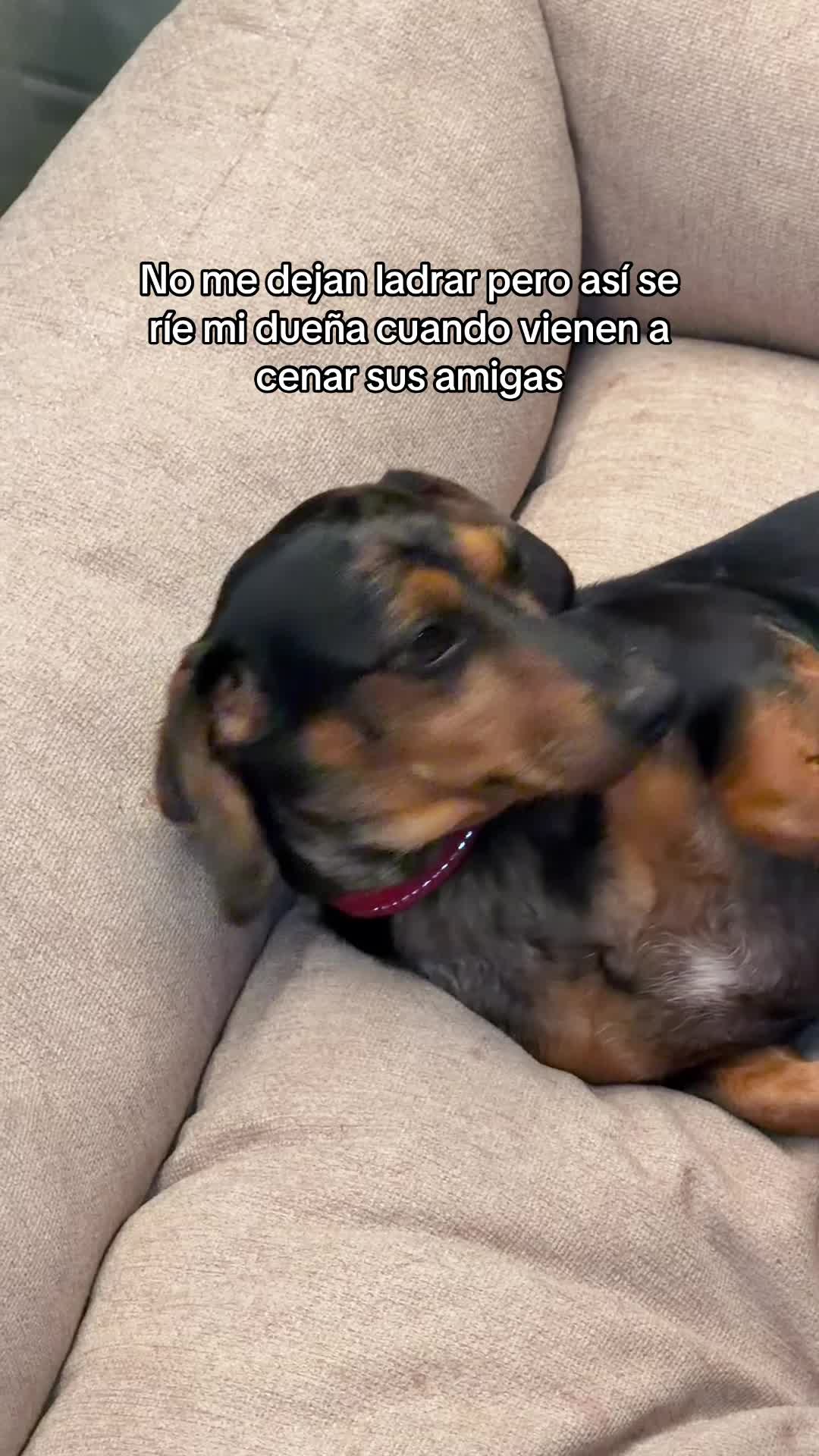 @Bonbonreich