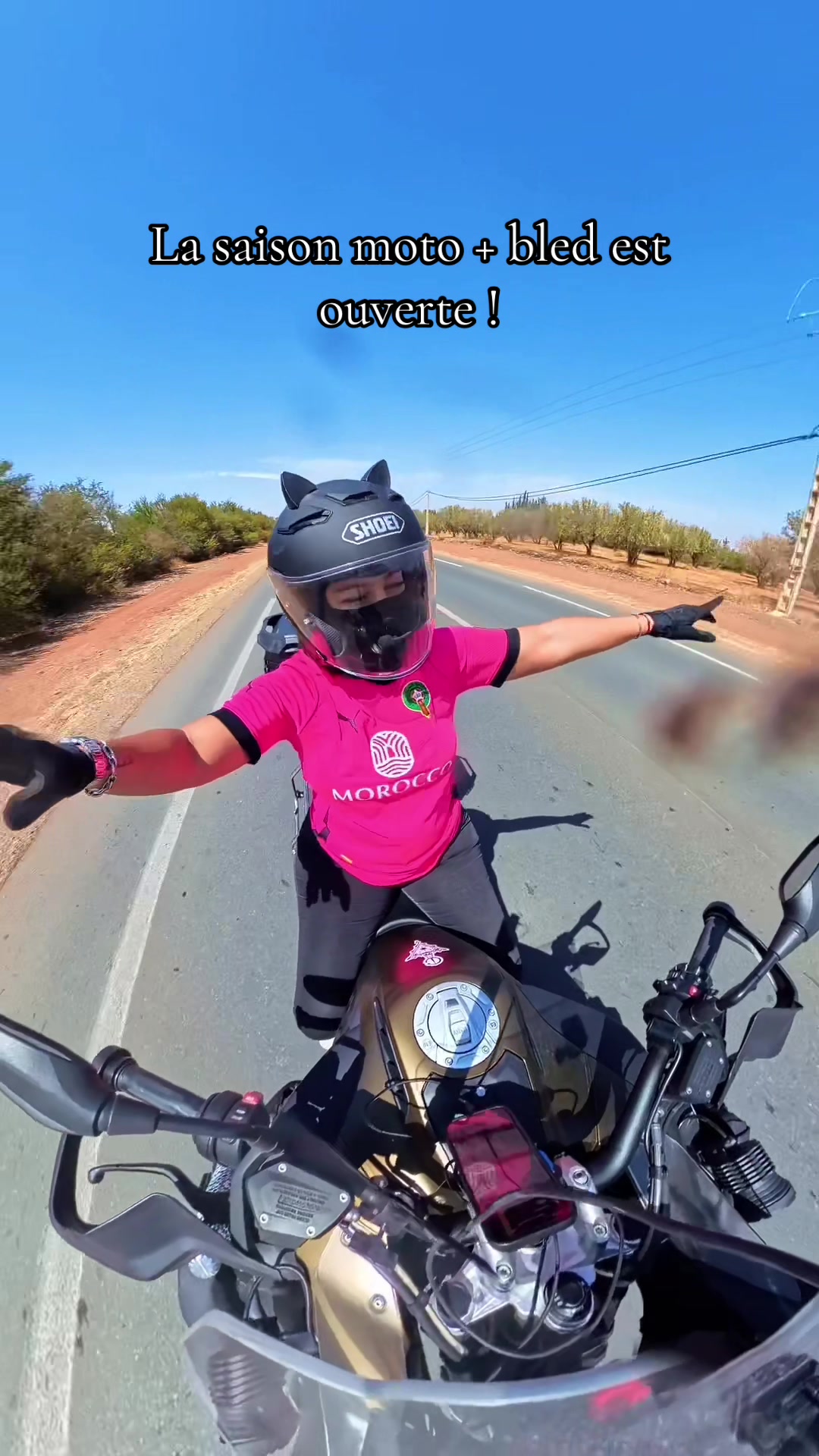 @CAT RIDER ADV