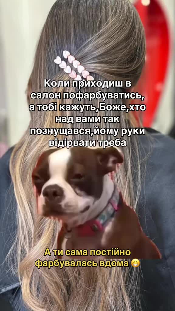 @Катя Сергеева