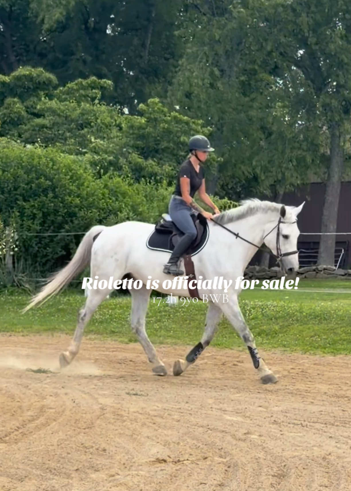 @Lunar Hill Equestrian