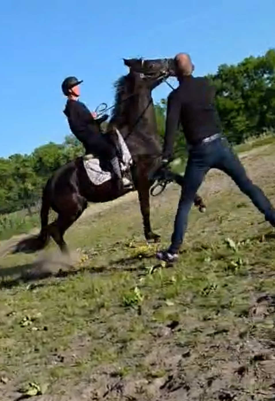 @rask_horses