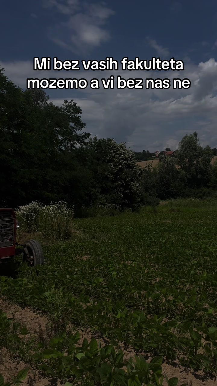 @_BRANKOVIĆ_