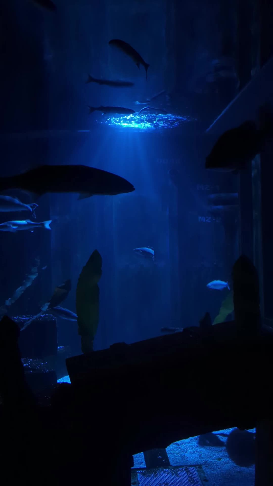 @BristolAquarium