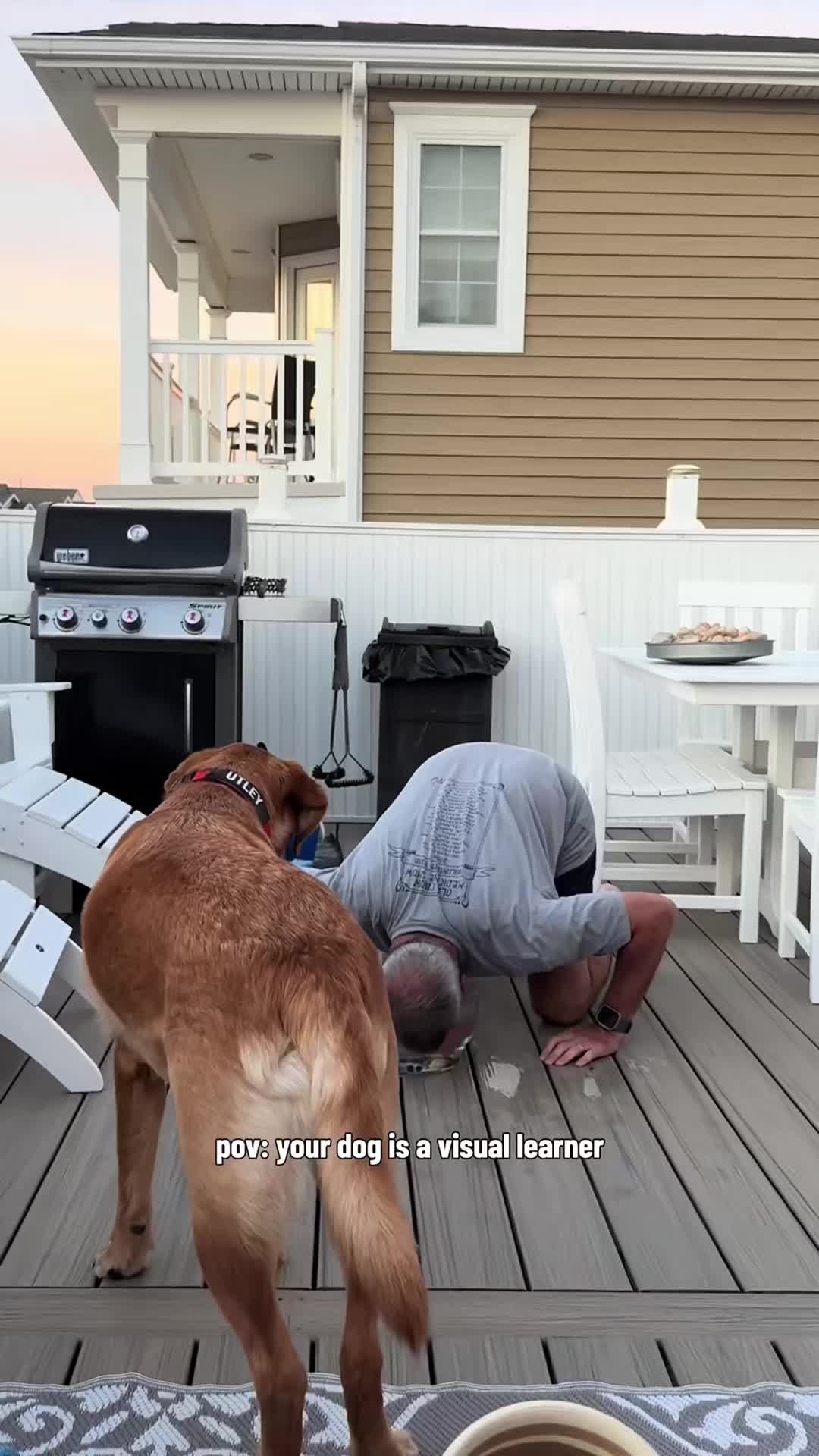 @funnyvideo3782