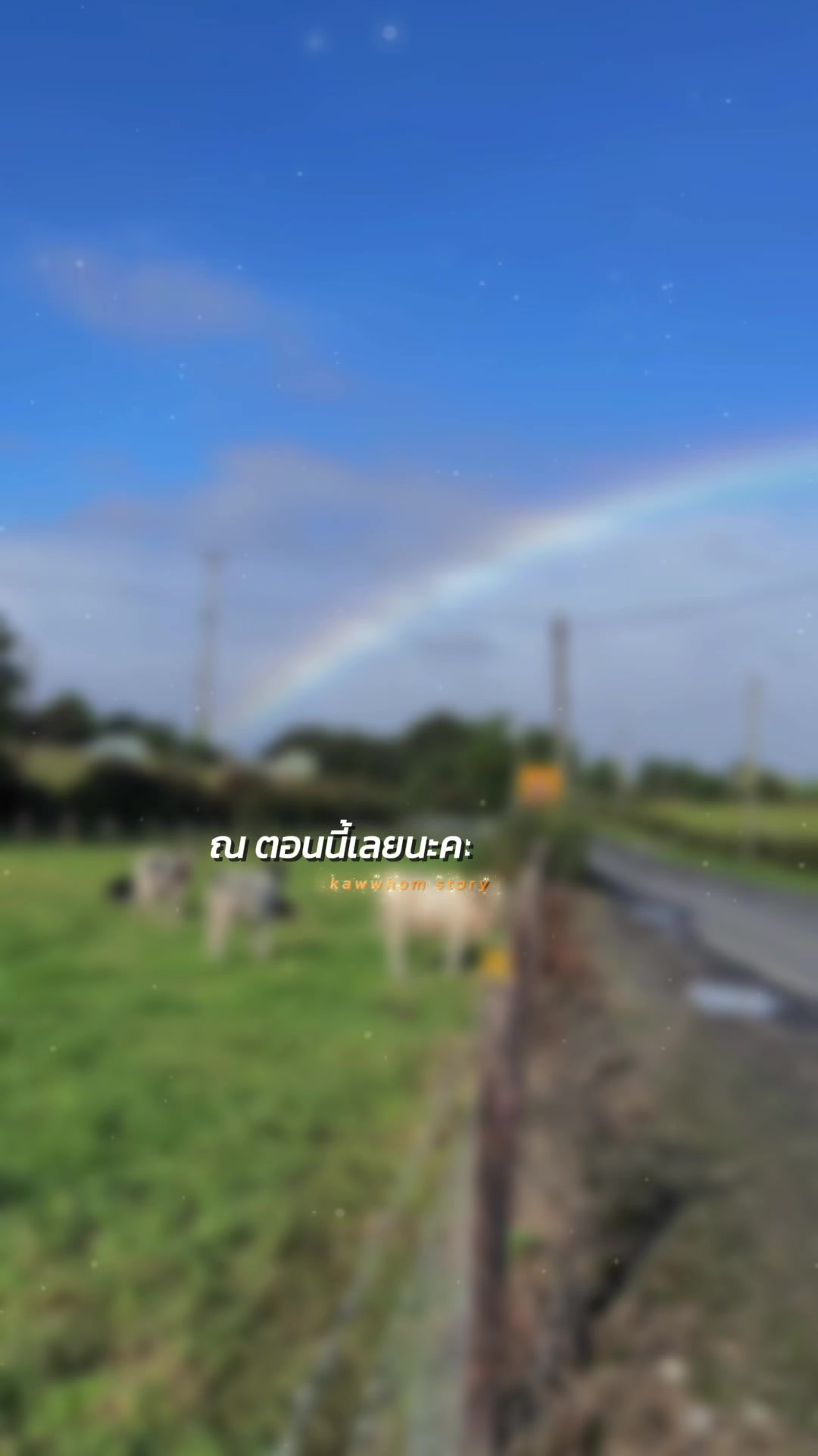 @Ann:)สาวไทยในไอร์แลนด์เหนือ