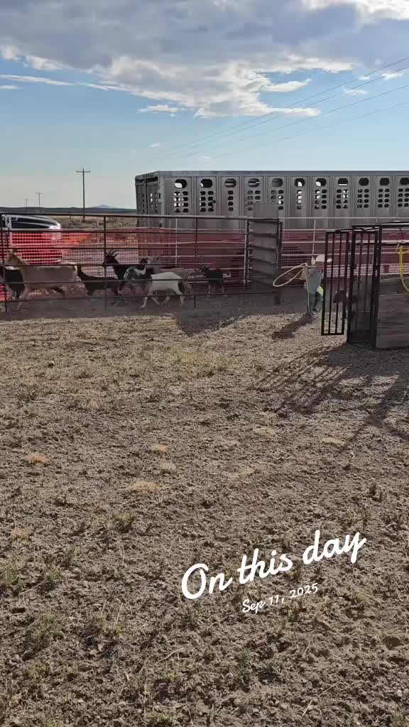 @B&G Bucking Bulls
